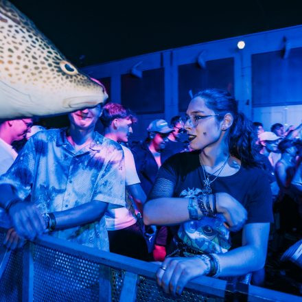 Shutdown Festival 2025 - Part 2