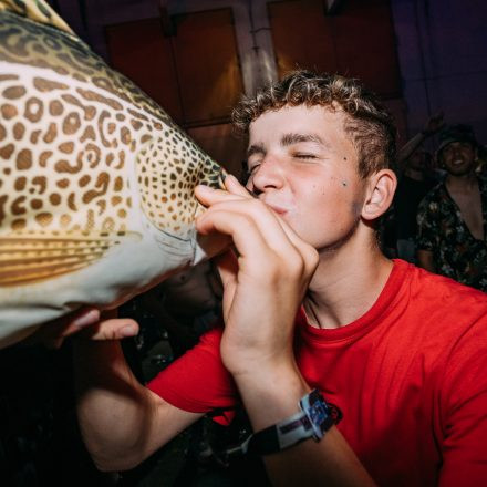 Shutdown Festival 2025 - Part 2