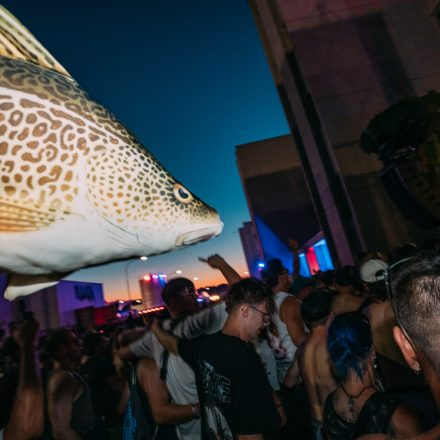 Shutdown Festival 2025 - Part 2