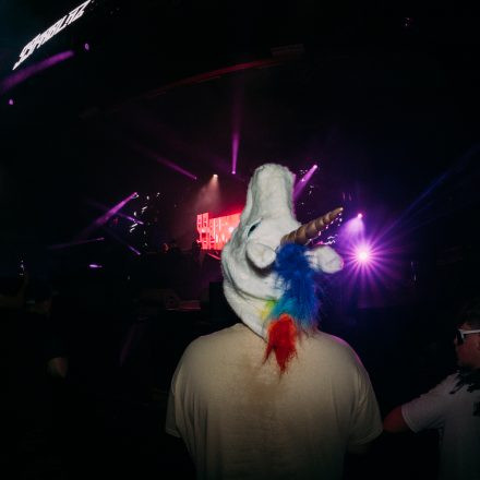 FM4 Frequency Festival 2025 – Freitag – Teil 2