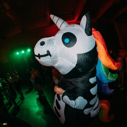 FM4 Frequency Festival 2025 – Freitag – Teil 2