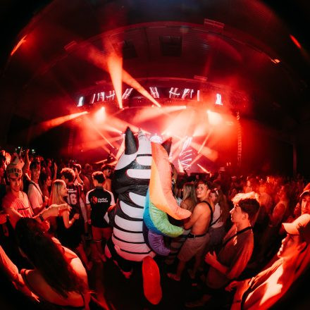 FM4 Frequency Festival 2025 – Freitag – Teil 2