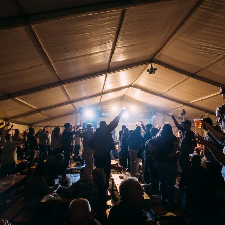 Stadtfest Stockerau 2025
