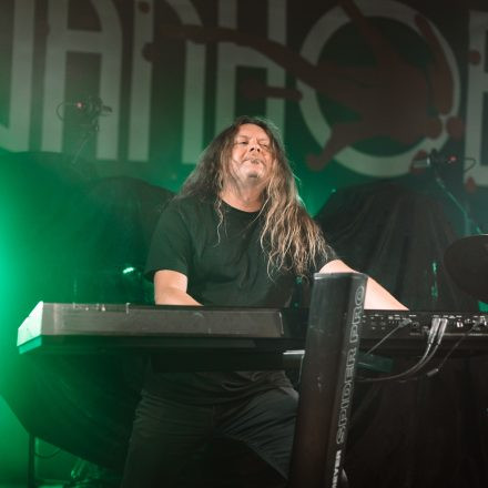 Vanden Plas