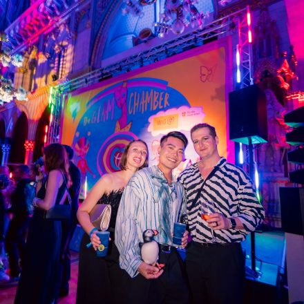 17. DIVERSITY BALL
