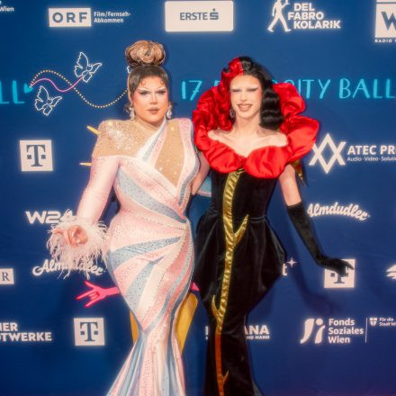 17. DIVERSITY BALL