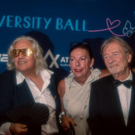 17. DIVERSITY BALL