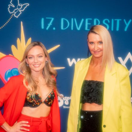 17. DIVERSITY BALL