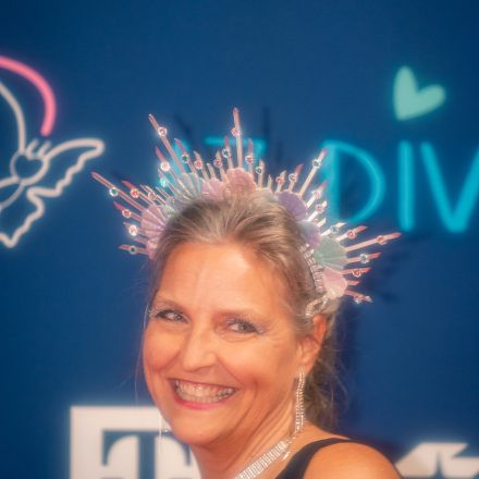 17. DIVERSITY BALL
