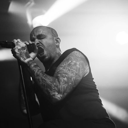 Bleed From Within