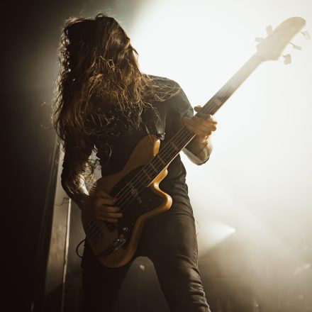 Der Weg einer Freiheit