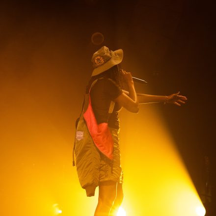 Little Simz