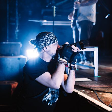 Kärbholz