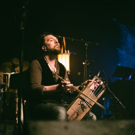 FAUN