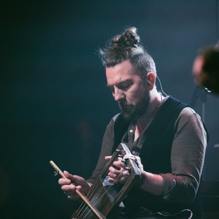 FAUN