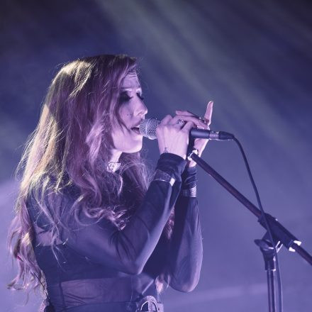 FAUN