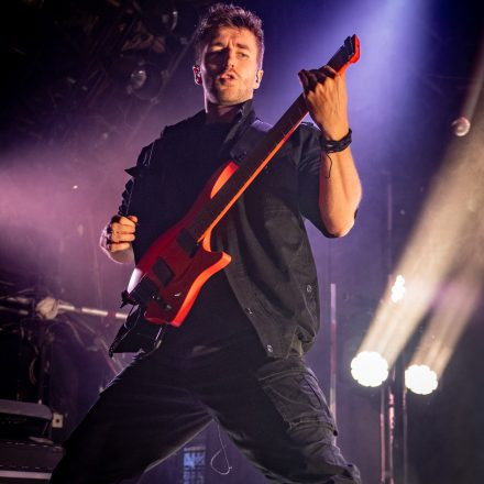 Ad Infinitum, Seven Spires & Tulip