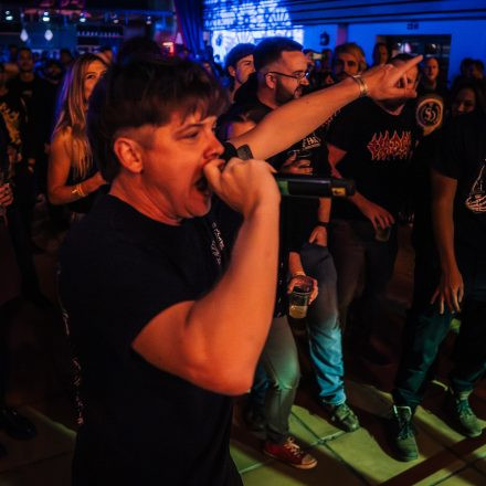 Seek & Destroy - 20 years of madness