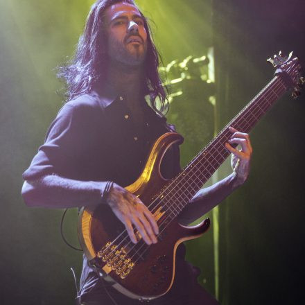 Ad Infinitum, Seven Spires & Tulip