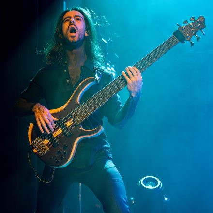 Ad Infinitum, Seven Spires & Tulip