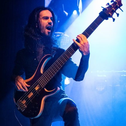 Ad Infinitum, Seven Spires & Tulip