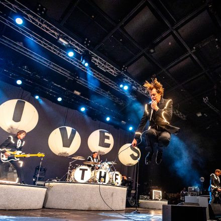 The Hives