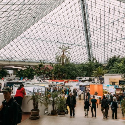 PHOTO + ADVENTURE 2025