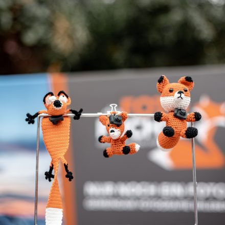 PHOTO + ADVENTURE 2025