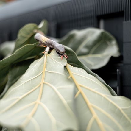 PHOTO + ADVENTURE 2025