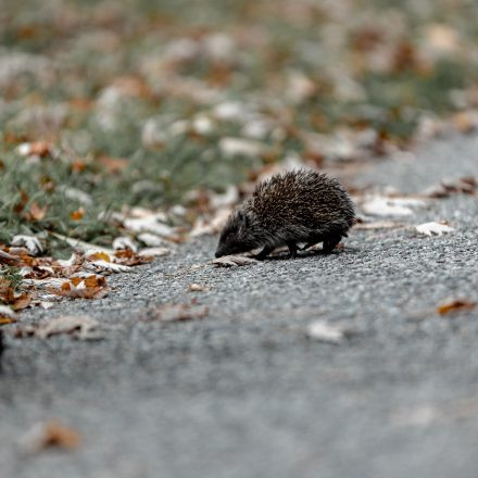 PHOTO + ADVENTURE 2025