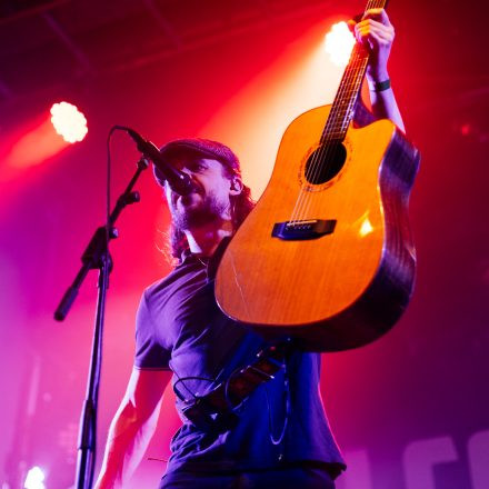 The O'Reillys and the Paddyhats