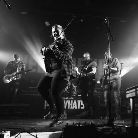 The O'Reillys and the Paddyhats