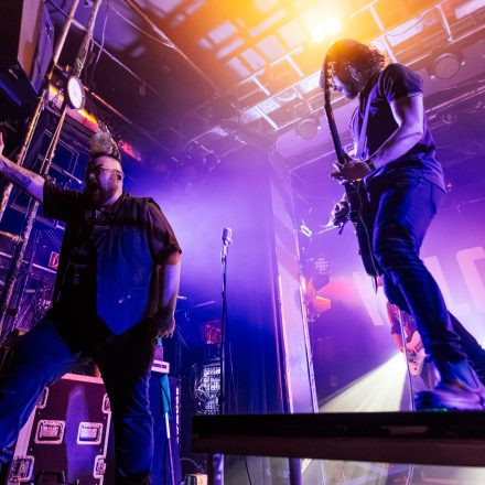 The O'Reillys and the Paddyhats