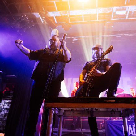 The O'Reillys and the Paddyhats