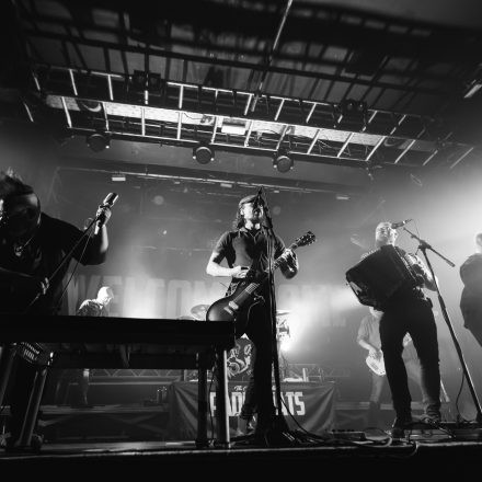 The O'Reillys and the Paddyhats