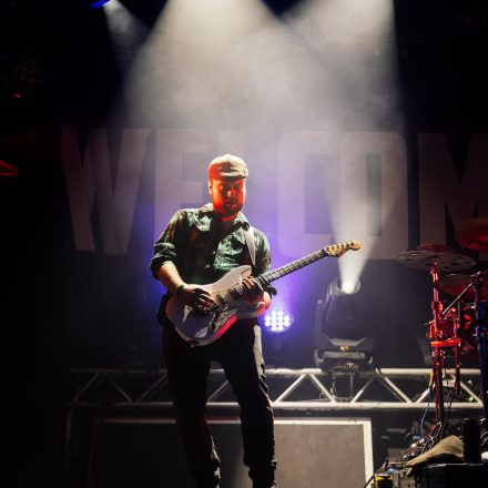 The O'Reillys and the Paddyhats