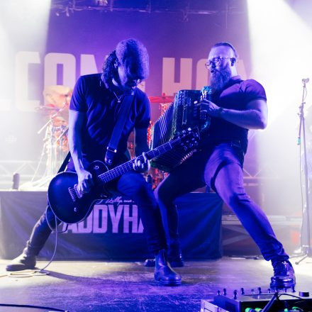 The O'Reillys and the Paddyhats