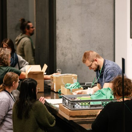 Vegan Planet Wien 2025