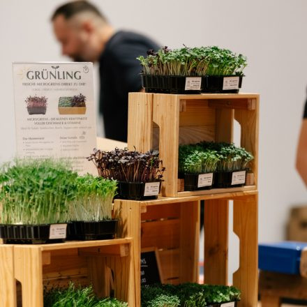 Vegan Planet Wien 2025