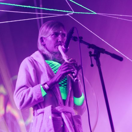 HGich.T + Acid Aftershow