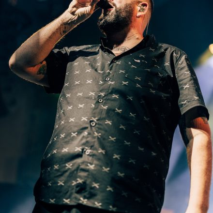 Feine Sahne Fischfilet