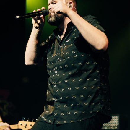 Feine Sahne Fischfilet