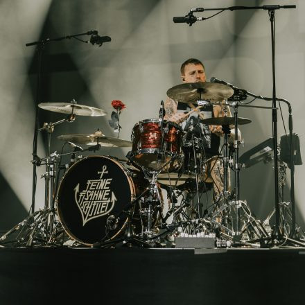 Feine Sahne Fischfilet