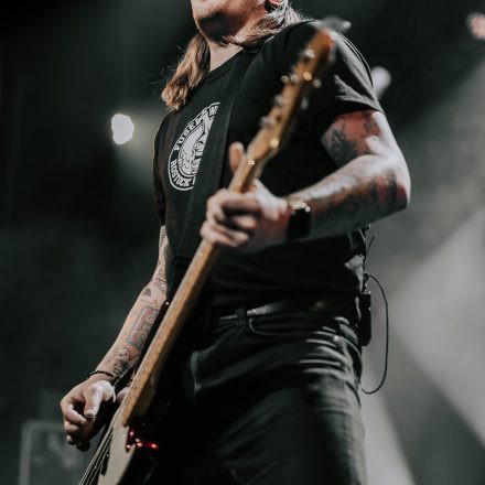 Feine Sahne Fischfilet