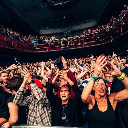 Feine Sahne Fischfilet