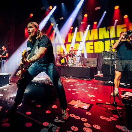 Feine Sahne Fischfilet