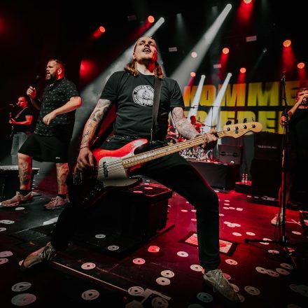 Feine Sahne Fischfilet