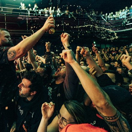 Feine Sahne Fischfilet