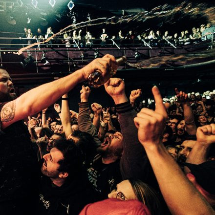 Feine Sahne Fischfilet