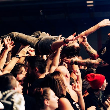 Feine Sahne Fischfilet